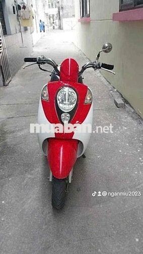 Honda Elite 50cc Đỏ trắng