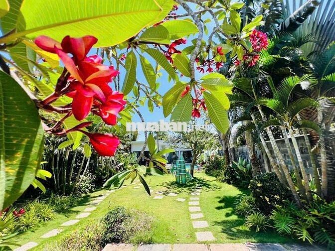 CÁCH BIỂN PHƯỚC HẢI 15P . CĂN VILLA HỒ BƠI . SÁNG CAFE , CHIỀU TẮM NẮN