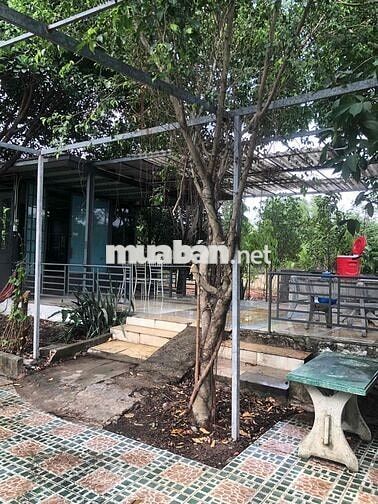 Cần bán gấp nhà vườn Rạch Bình Thuận!!!!