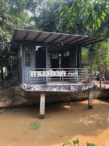 Cần bán gấp nhà vườn Rạch Bình Thuận!!!!