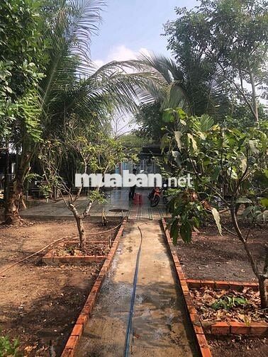 Cần bán gấp nhà vườn Rạch Bình Thuận!!!!