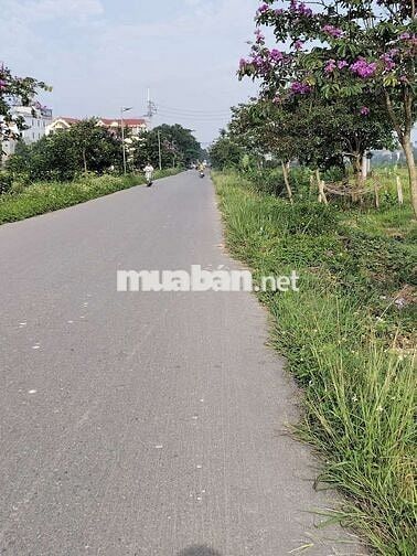 LÔ ĐẤT NHỎ – GIÁ MỀM – SINH LỜI TO
50m² tại Yên Ninh – Nội Bài.
