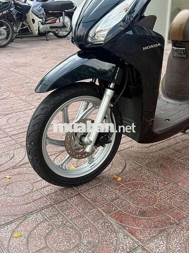 vison 2020 cọp