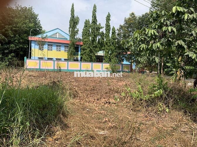 hính Chủ Bán Đất 100% Thổ Cư 5x30m – Sổ Hồng Riêng Sang Tên Ngay