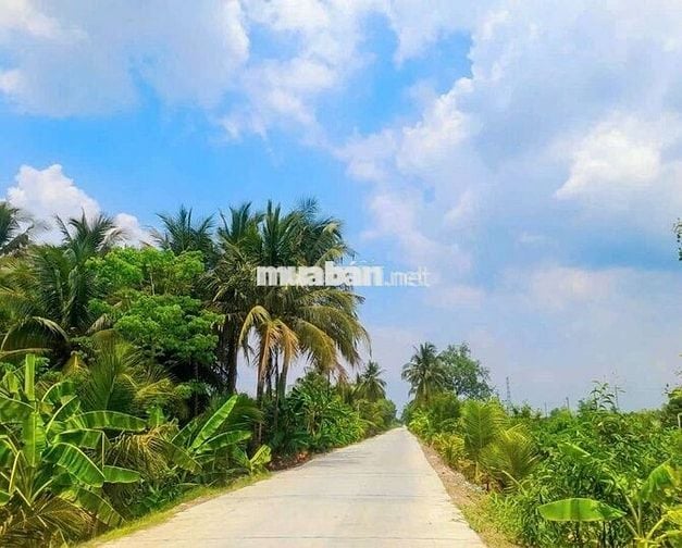 Chỉ 320tr sở hữu 500m2 đất vườn View Kênh cực đẹp