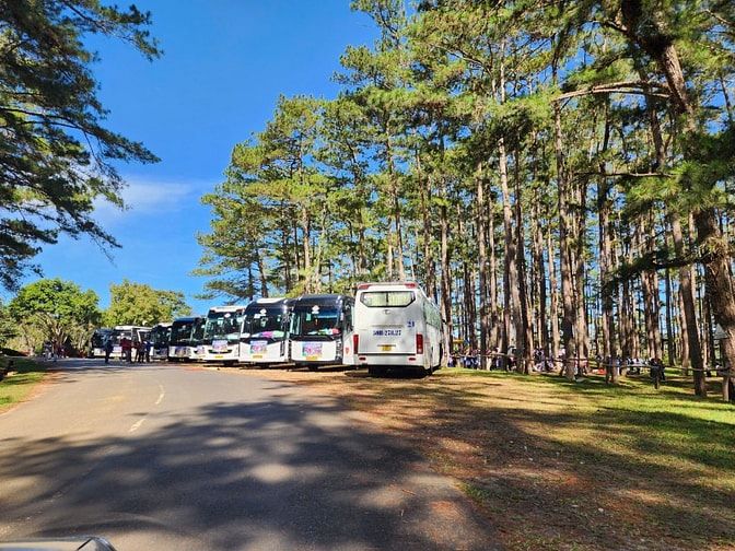 Bán Villa nghỉ dưỡng triền đồi Đống Đa & khu Camping rừng thông Đà Lạt