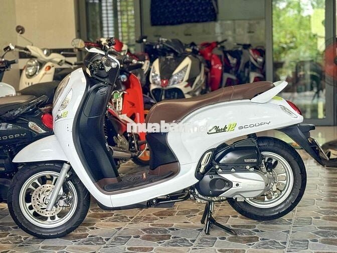 Scoopy 2021 Smartkey Bs 65F1 Chính Chủ