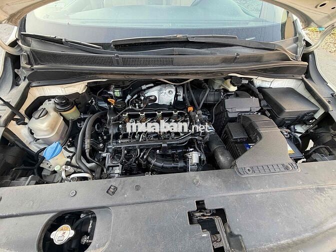Kia Sedona 2017 Deluxe Trắng