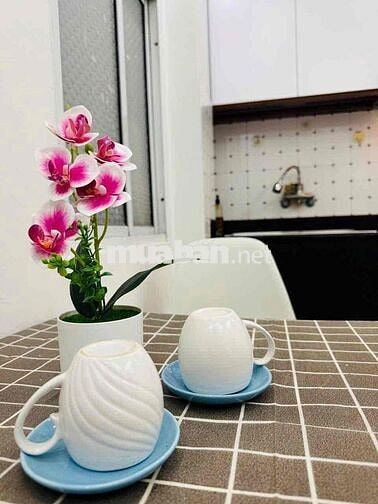 Mình chính chủ cần cho thuê ccmn 1n1k