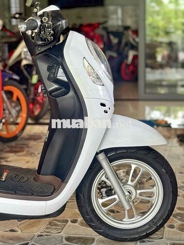 Scoopy 2021 Smartkey Bs 65F1 Chính Chủ