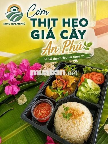 [BAO ĂN Ở] Tuyển dụng Bếp Trưởng