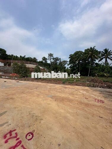 BÁN 2,3 SÀO ĐẤT THỔ CƯ CÁCH HỒ EAKAO 300M