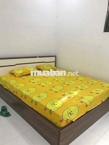 🔴 CHO THUÊ NHÀ 3 TẦNG MẶT TIỀN PHẠM BÀNH – SÁT CHỢ HÒA XUÂN