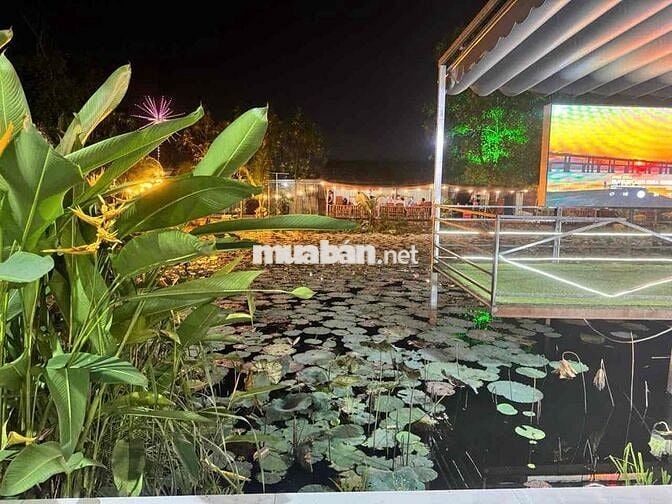 [VÒNG XOAY AN LẠC] NHÂN VIÊN PHỤC VỤ NHÀ HÀNG