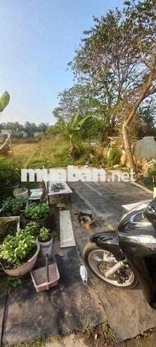 GẤP BÁN CHỈ 1ty950 CÓ NGAY 225M2 ĐẤT THỔ CƯ.