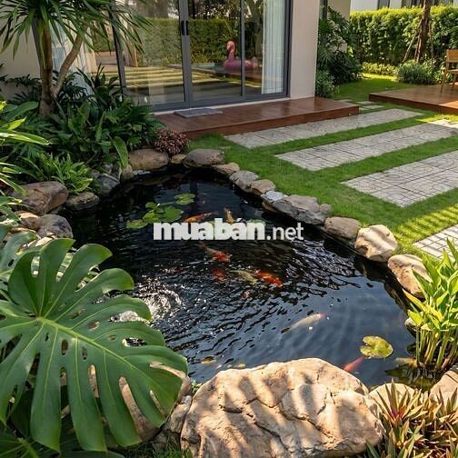 Ra mắt nhà vườn gần biển Lộc An – Hồ Tràm, tổng 400m² nha mọi người.