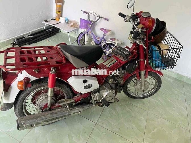 Honda Cup màu Đỏ