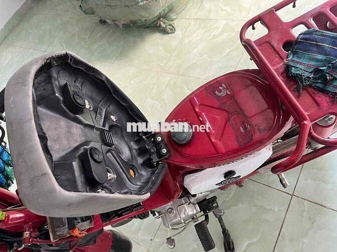 Honda Cup màu Đỏ