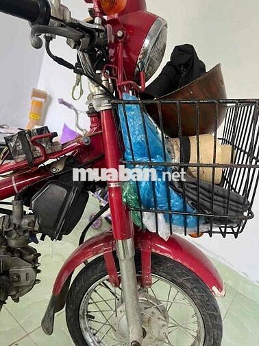 Honda Cup màu Đỏ