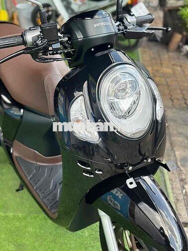 Honda Scoopy Đen
