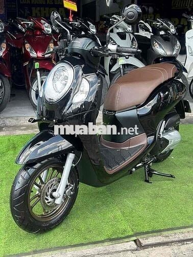 Honda Scoopy Đen