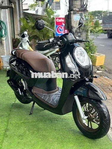 Honda Scoopy Đen
