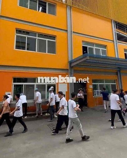 NHẬN 18-45T HỖ TRỢ TRỌ-XE ĐƯA RƯỚC-BAO CƠM 2 BỮA
