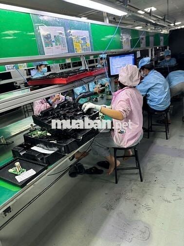 [viship 2 TD1] Công nhân ngồi lắp ráp điện tử hctc