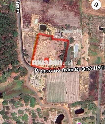 Đất nghỉ dưỡng Hồ Tràm 4.285m² – 2 sổ riêng – View làm resort quá đỉnh
