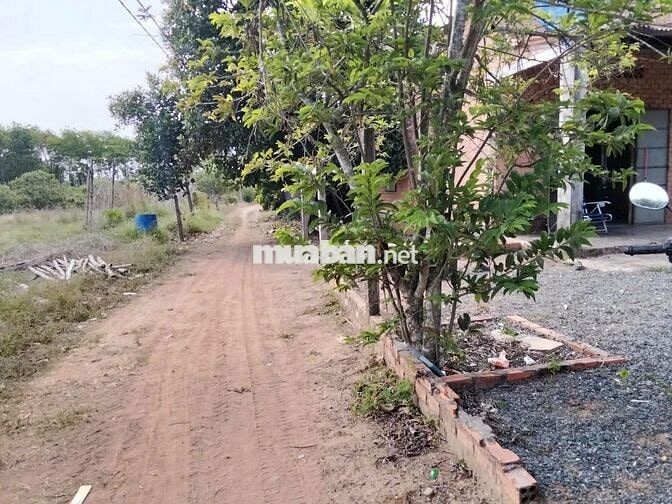 💥 NGÂN HÀNG THANH LÝ ĐẤT ĐẸP - GIÁ CỰC TỐT 💥