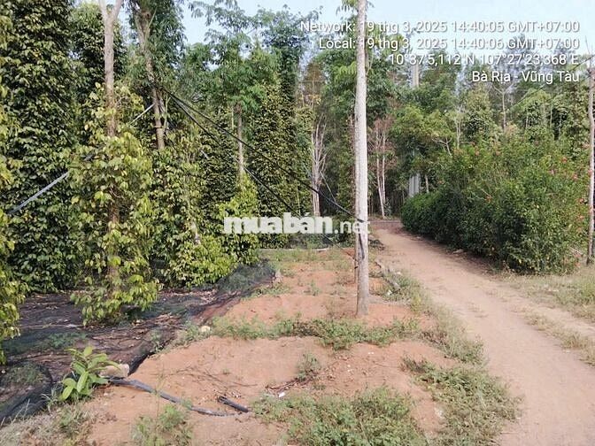 💥 NGÂN HÀNG THANH LÝ ĐẤT ĐẸP - GIÁ CỰC TỐT 💥