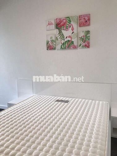 newton Residences 75m2,2pn full nthat giá 20tr ở liền