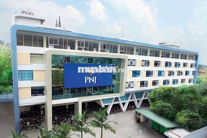 PNJ - TUYỂN TÀI XẾ ( BẰNG B2) LƯƠNG 10 - 14TRIỆU