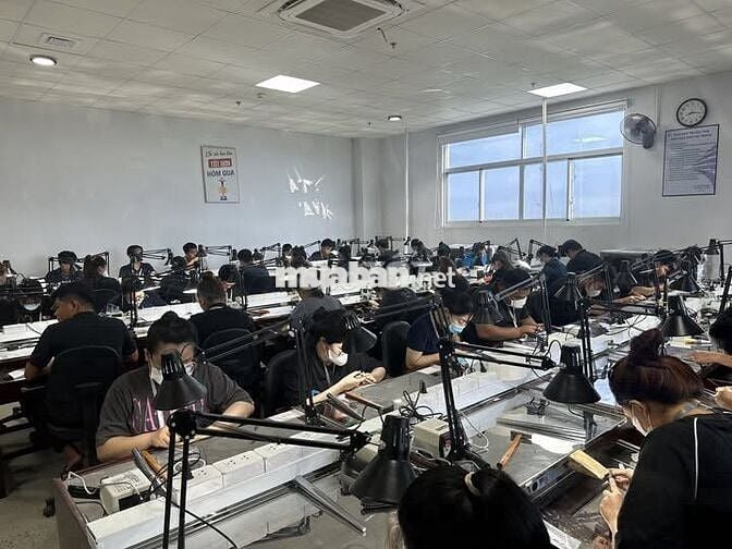 PNJ - TUYỂN TÀI XẾ ( BẰNG B2) LƯƠNG 10 - 14TRIỆU