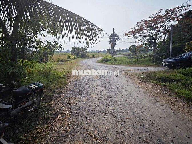 1000 m2_200 thổ cư, Hảo Đước, Châu Thành, Tây Ninh