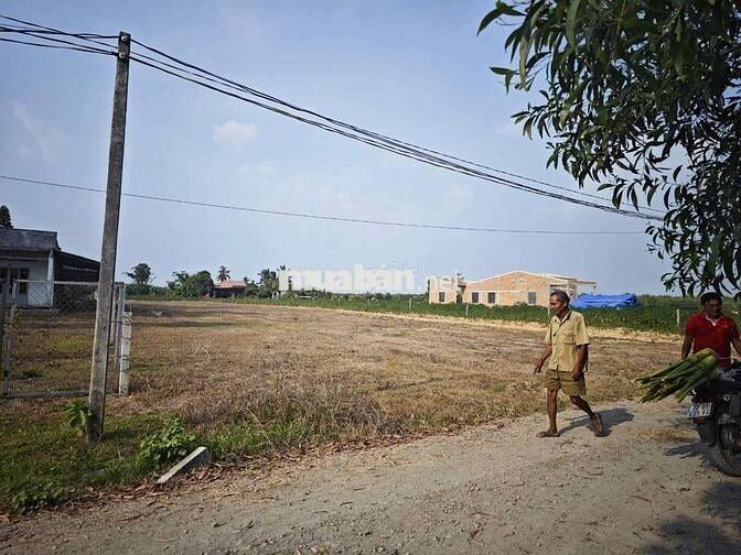 1000 m2_200 thổ cư, Hảo Đước, Châu Thành, Tây Ninh