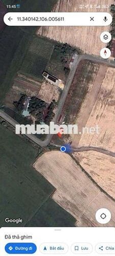 1000 m2_200 thổ cư, Hảo Đước, Châu Thành, Tây Ninh