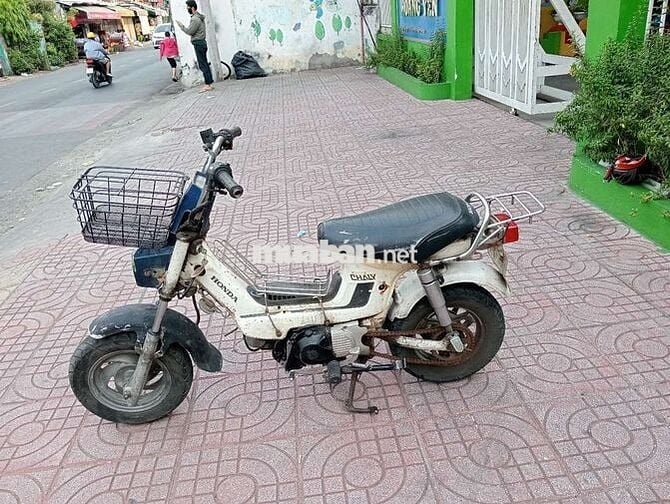 Honda Chaly 1984 Trắng