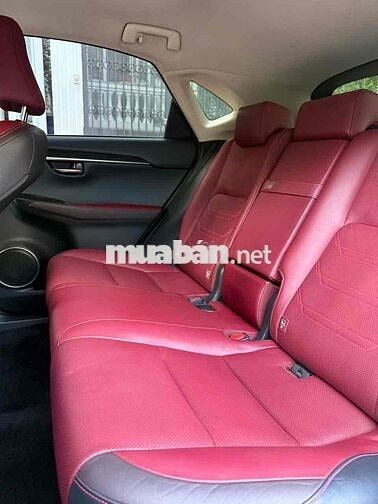 Lexus NX300 màu Trắng