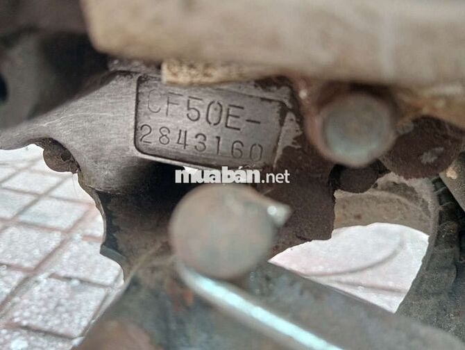 Honda Chaly 1984 Trắng