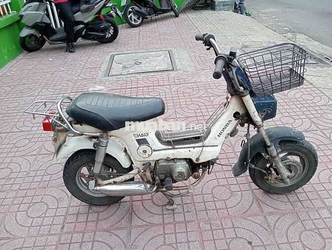 Honda Chaly 1984 Trắng