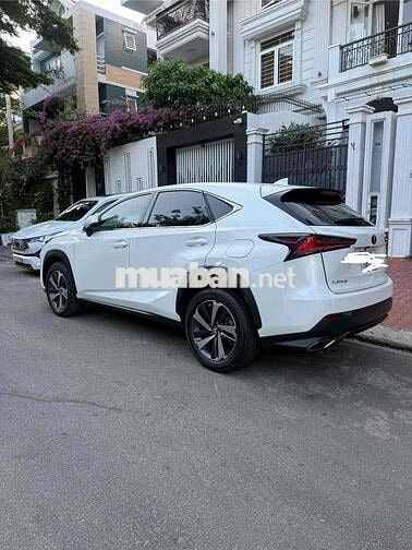 Lexus NX300 màu Trắng
