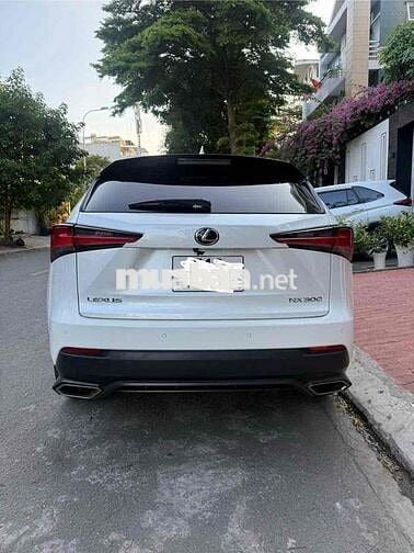 Lexus NX300 màu Trắng