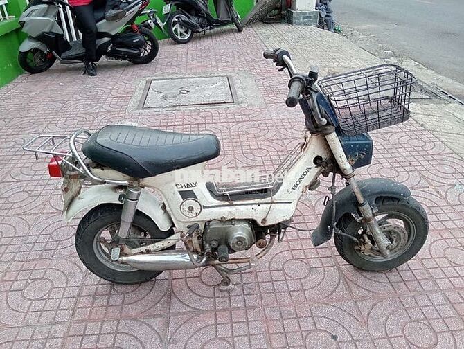 Honda Chaly 1984 Trắng