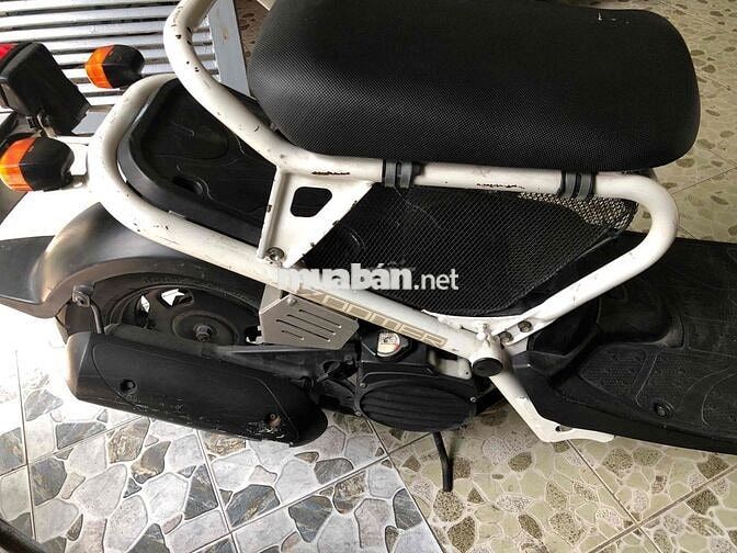 Honda Zumer màu Trắng