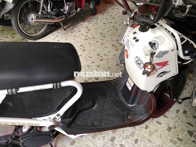 Honda Zumer màu Trắng