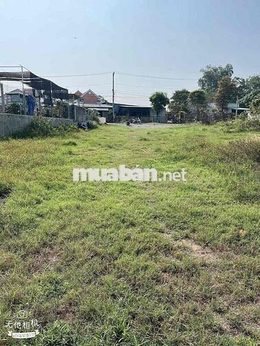 Kẹt tiền bán gấp đất 500m2/720Triệu gần chợ Tân Định,Bến Cát giá tốt