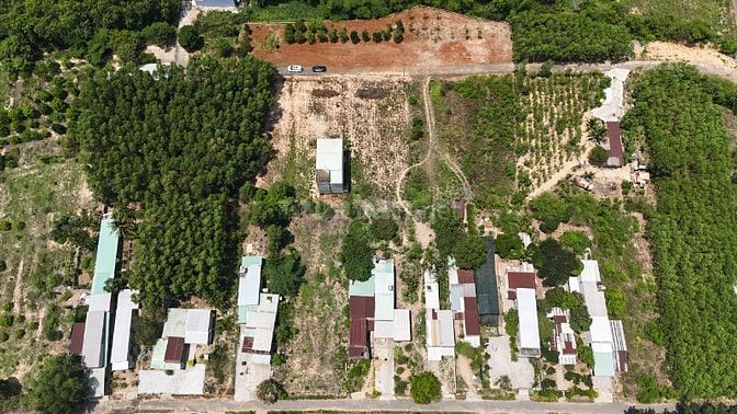Bấn đất sân bay Long Thành 5*17.18=85.9m2 giá 1.288 tỷ Long Thành ĐNai