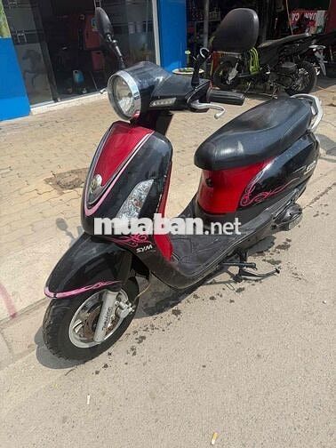 Elizabeth có giấy, máy êm , đầy đủ chức năng