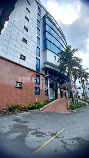 Cho thuê 600m2 Lầu 6 tại 12/1 NTMK, Q1. DT 20x30m. Giá 550k/m2/tháng
